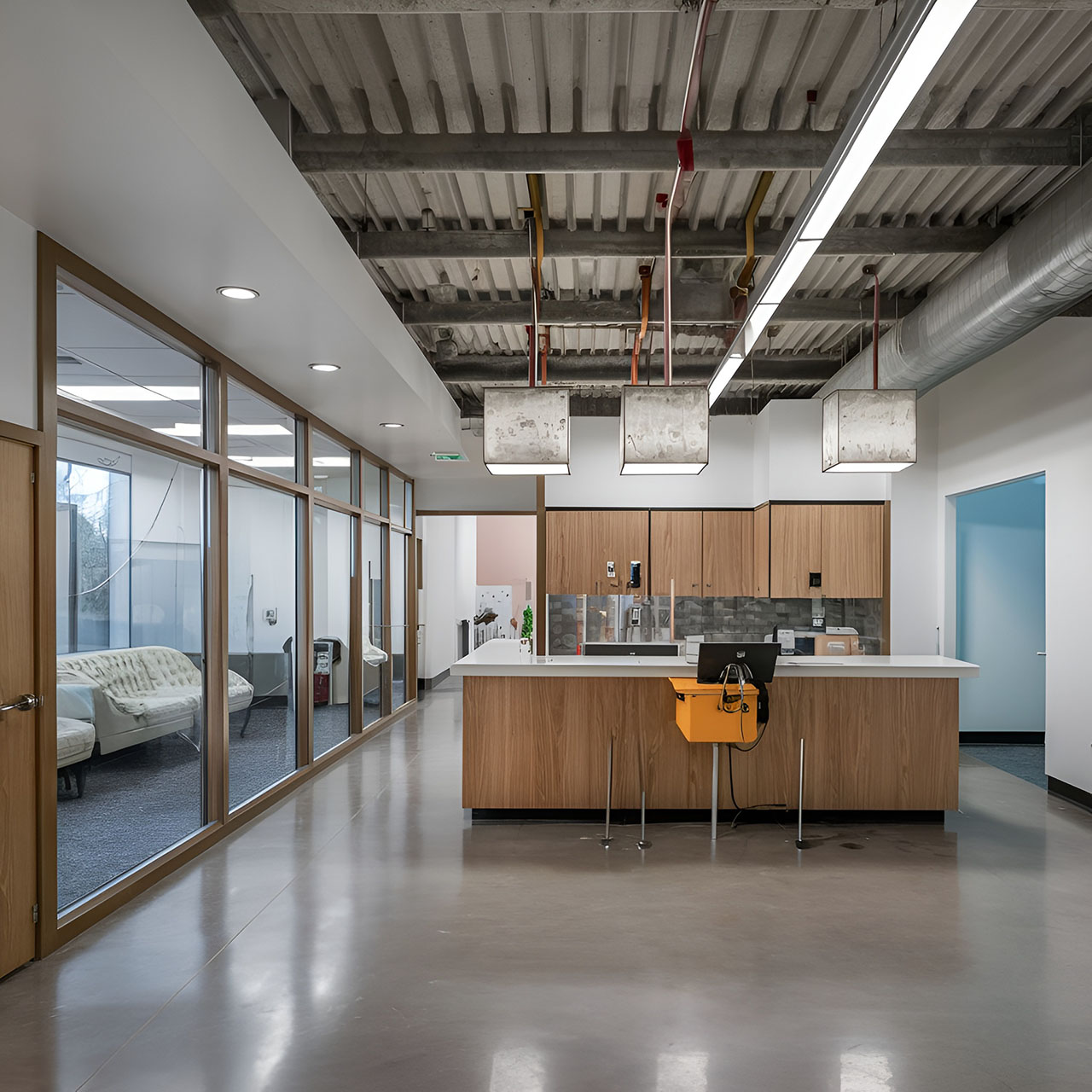 Shiny cement flooring Dallas in a veterinary clinic, featuring hygienic polished concrete flooring ideal for medical and animal care facilities.
